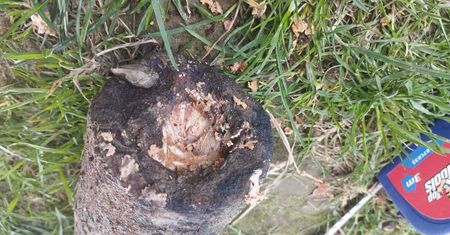 Nietypowy połów w Dunajcu. Wyłowił to za pomocą magnesu