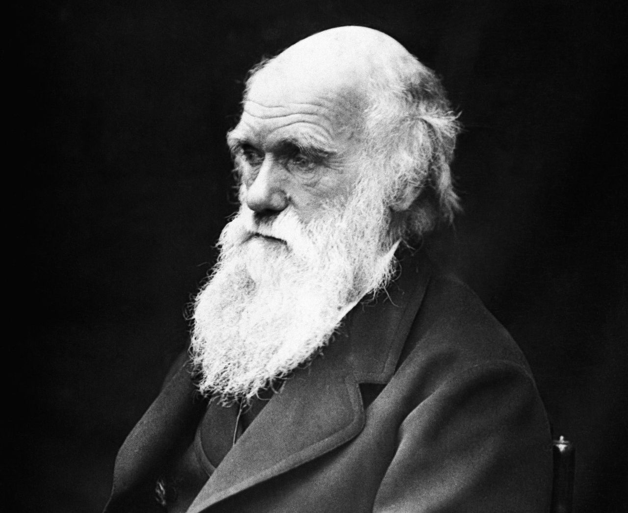 Zaginęły notatniki Karola Darwina. Były warte miliony