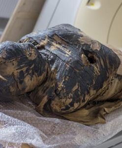 Warszawa. Sensacyjne odkrycie archeologiczne. Z życia mumii