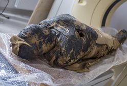 Warszawa. Sensacyjne odkrycie archeologiczne. Z życia mumii
