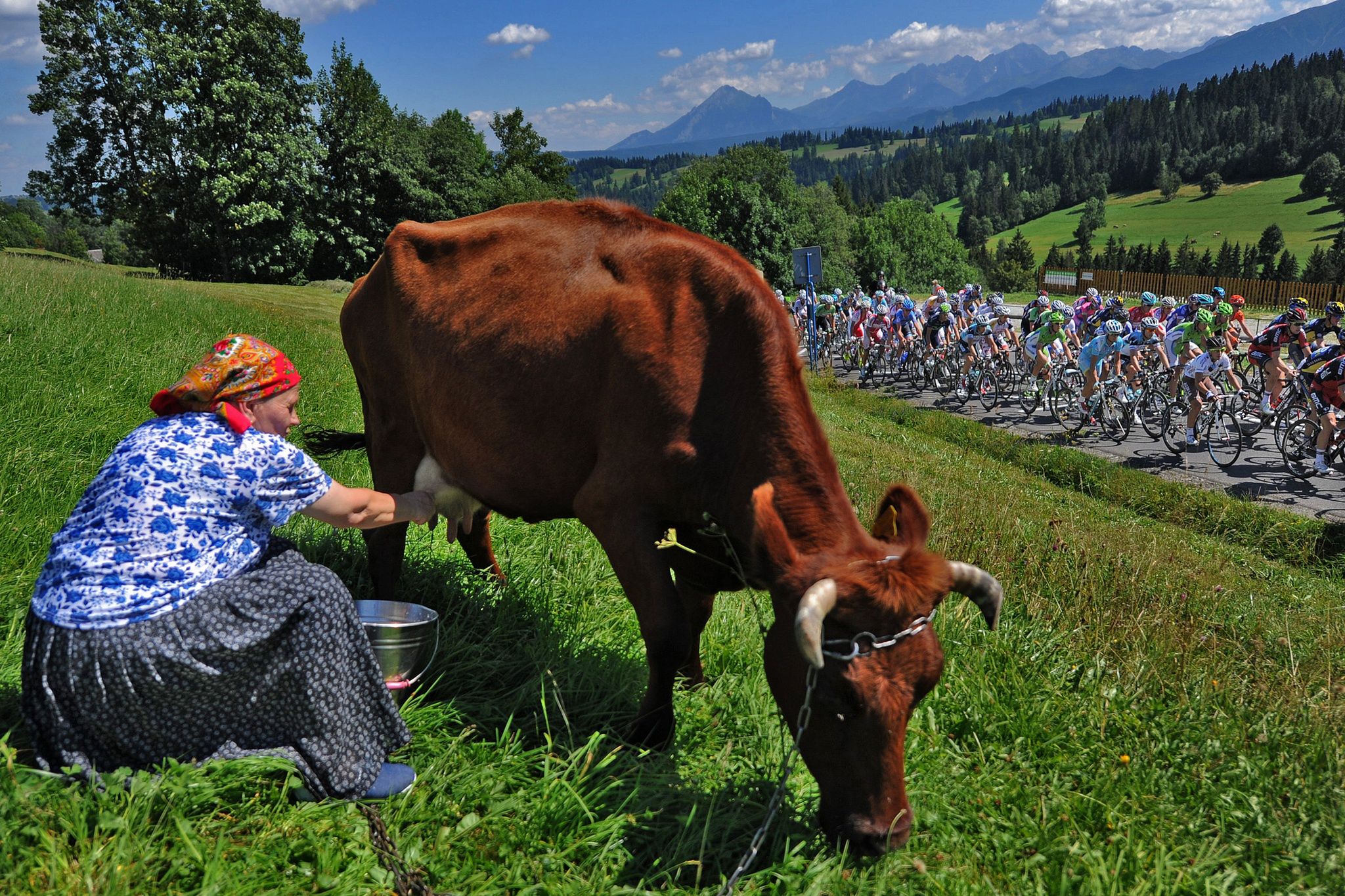 Najlepsze zdjęcia nagrodzone w konkursie Grand Press Photo 2014 [galeria] 13