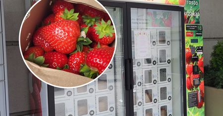 Bez pani z bazarku i wsypywania do reklamówki. Kupiliśmy truskawki w automacie