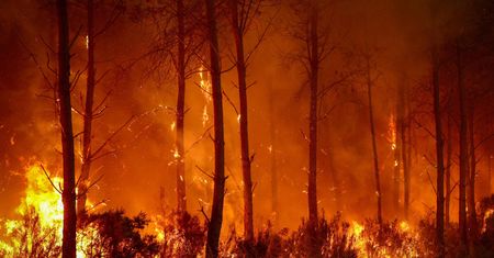 Ekstremalne znaczy normalne. Jakim cudem brutalne konsekwencje zmiany klimatu akceptujemy tak łatwo? [OPINIA]