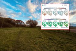 Pogoda na marzec. Są nowe prognozy. W nich powolny wzrost temperatury