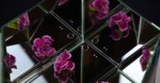 Sony Xperia XZ Premium - test i recenzja