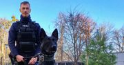 Brzeg: Lara, owczarek holenderski, zaczyna służbę w policji