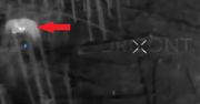 Niebywałe starcie w Ukrainie. Sowa vs rosyjski dron