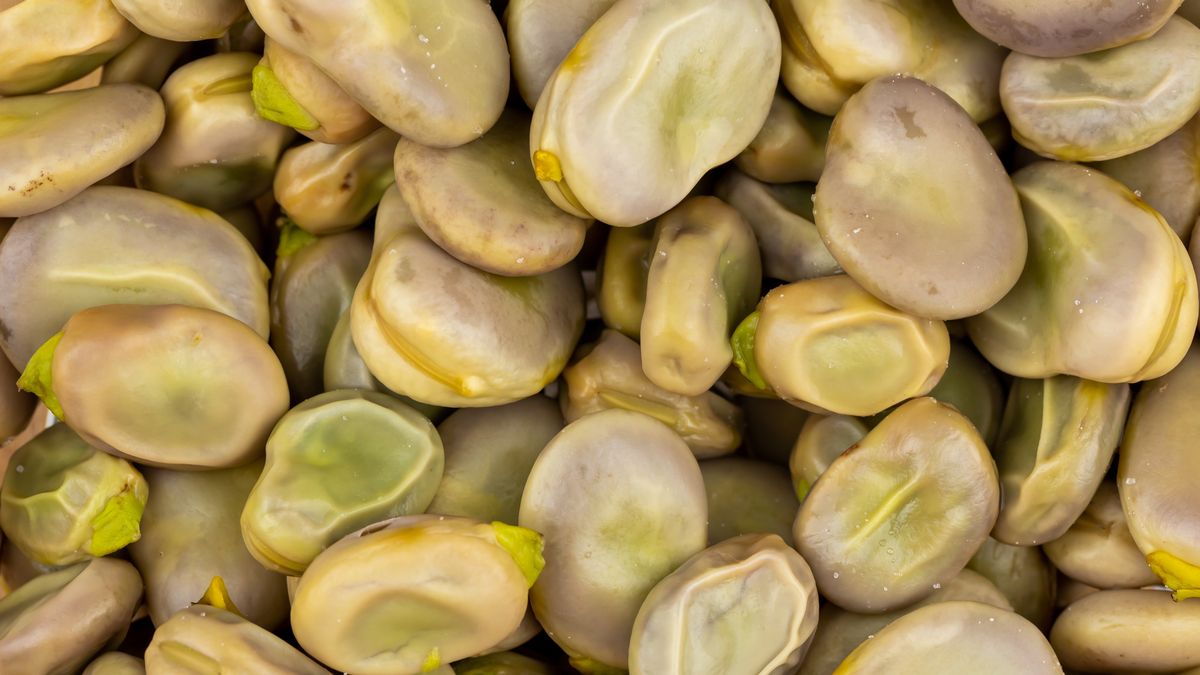 Dlaczego warto jeść bób ze skórką? Wyjaśniamy