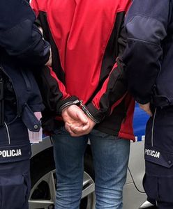 Policja zatrzymała Gruzinów podejrzanych o włamania w Wielkopolsce