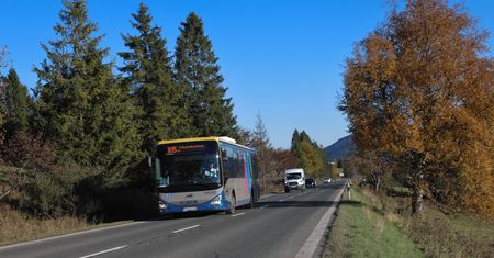 "Nie mamy żadnych szans". Tracą pasażerów, są wkurzeni na samorząd