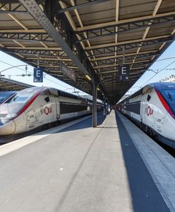 Francja i Niemcy przygotowały darmowe bilety kolejowe dla młodych. Miejsc już nie ma