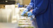 Producent sałatek zamyka zakład i zwalnia załogę. Tłumaczy dlaczego
