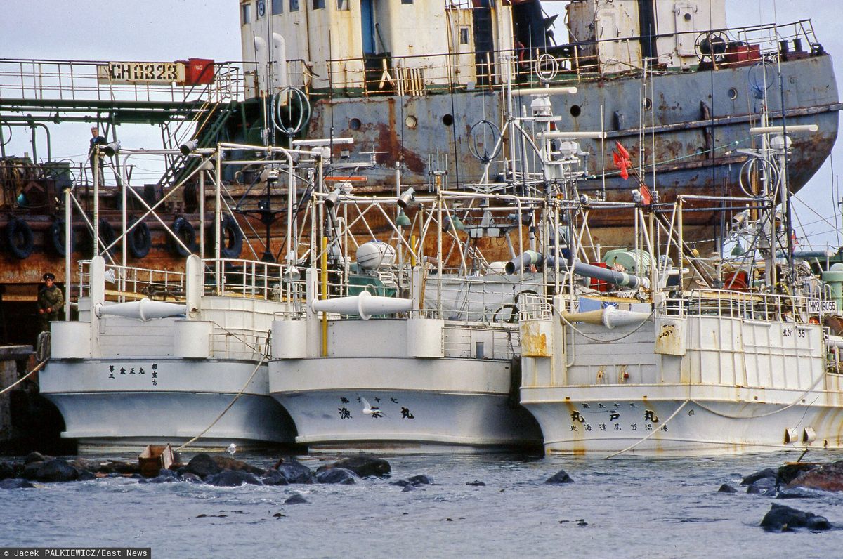 Sachalin, statki na morzu. Zdjęcie ilustracyjne
