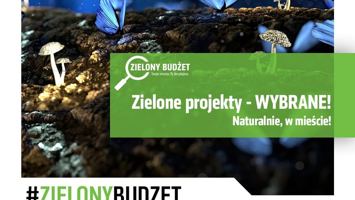 grafika zielony budżet