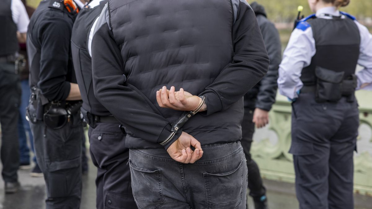 Brytyjski rząd chce opublikować listę osób do deportacji