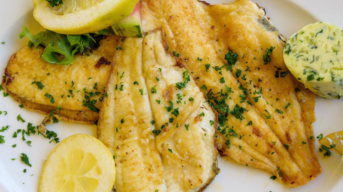 Gładzicę łatwo pomylić z flądrą