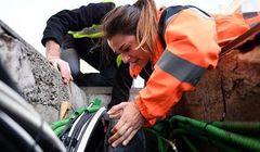 Orange testuje światłowód o prędkości do 5 Gb/s. Oferta tylko dla firm, cena 299 złotych netto