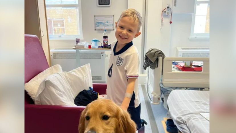 Lekarze diagnozowali infekcję sezonową. Tak objawiała się białaczka u 6-latka