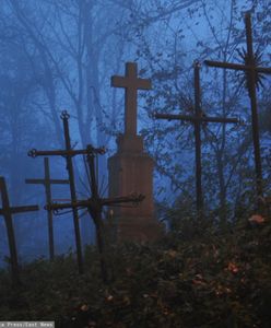 Cmentarz pełen niechcianych krzyży. Znajduje się w jednym z dużych polskich miast