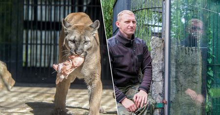 O tej sprawie mówiła cała Polska. Były właściciel pumy skazany