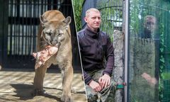 O tej sprawie mówiła cała Polska. Były właściciel pumy skazany