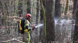 Woj. kujawsko-pomorskie: Służby i systemy monitoringu w pełnej gotowości. Rusza wielka ochrona lasów przed pożarami