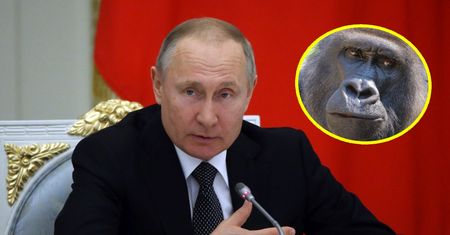 Rosjanie całkiem odlecieli? Mówią, co szczepionka na COVID-19 zrobi z ludźmi