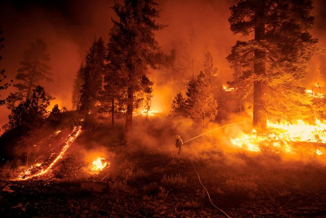 26.08.2021 r., USA. Strażacy walczący z pożarami w Kalifornii, które spaliły ogromne połacie dzikich terenów. W przeciągu ostatnich lat liczba pożarów w USA znacznie się zwiększa.