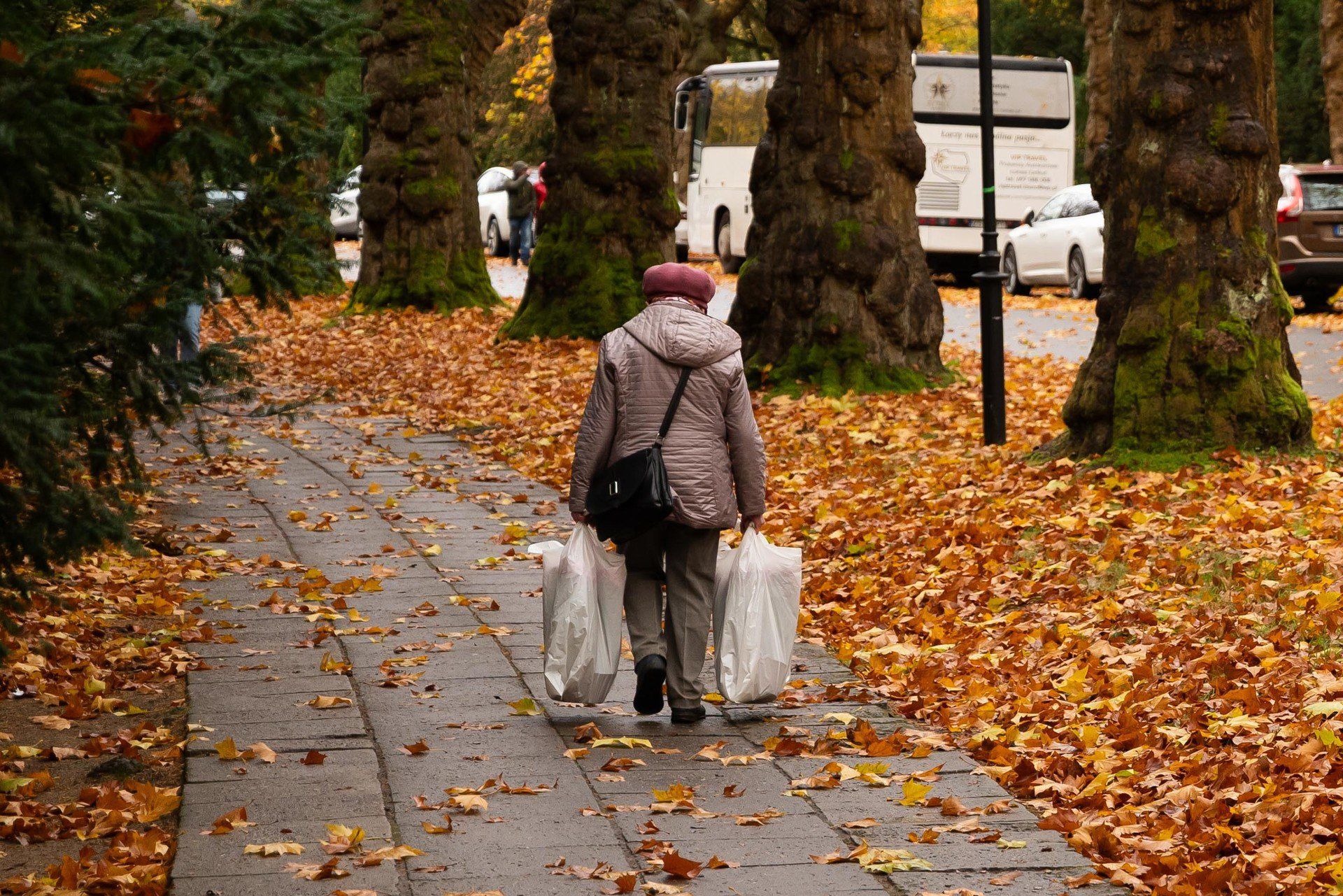 Trwają przygotowania na Cmentarzu Centralnym w Szczecinie