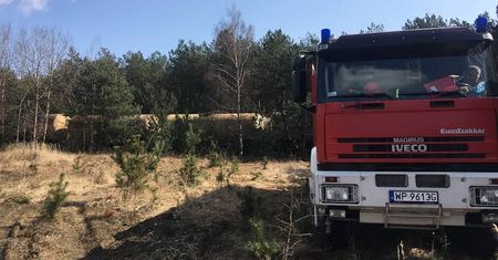Małaszewicze: Wykoleił się pociąg z cysternami