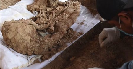 Szczątki Inków sprzed 500 lat. Niezwykłe odkrycie w Peru