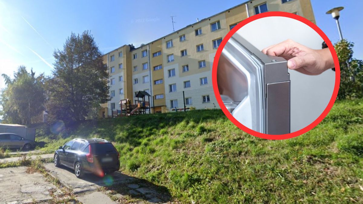 Mężczyzna trzymał zwłoki psa w zamrażarce