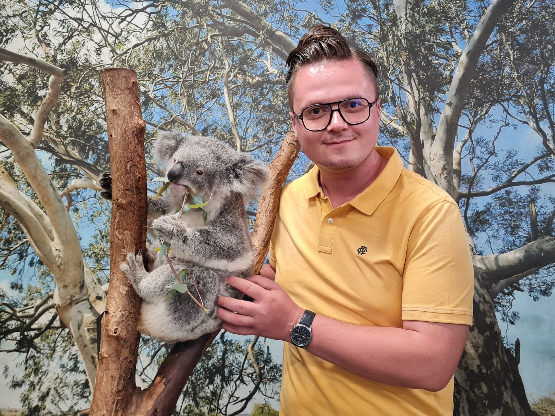 Autor tekstu z symbolem Australii - koalą