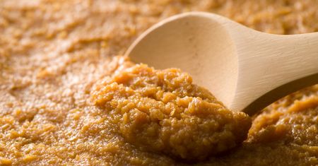Pasta miso – gdzie kupić, skład, właściwości zdrowotne i przepisy
