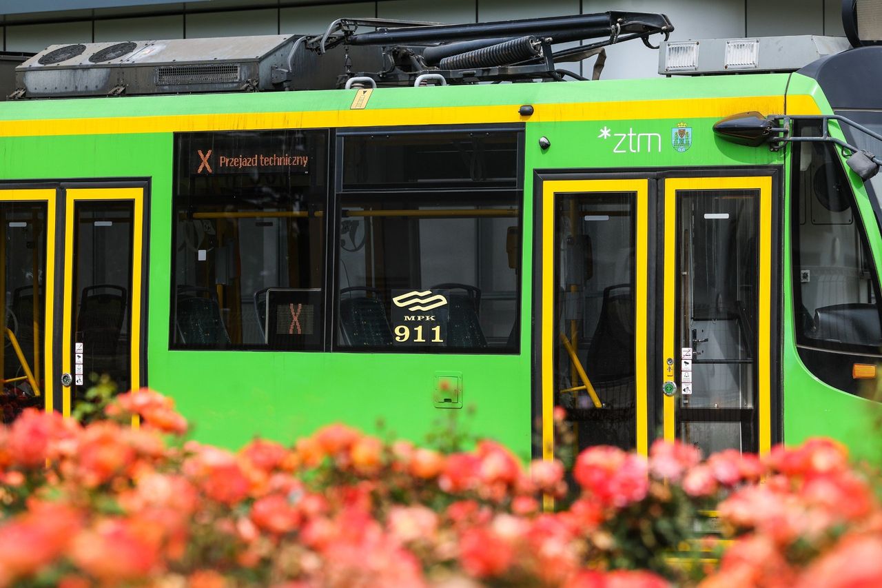 Letnie zmiany w komunikacji miejskiej w Poznaniu. Przez remonty i przebudowy. Sprawdź listę