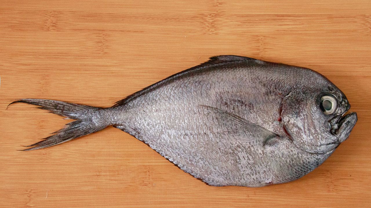 Brama ma charakterystyczny, owalny kształt