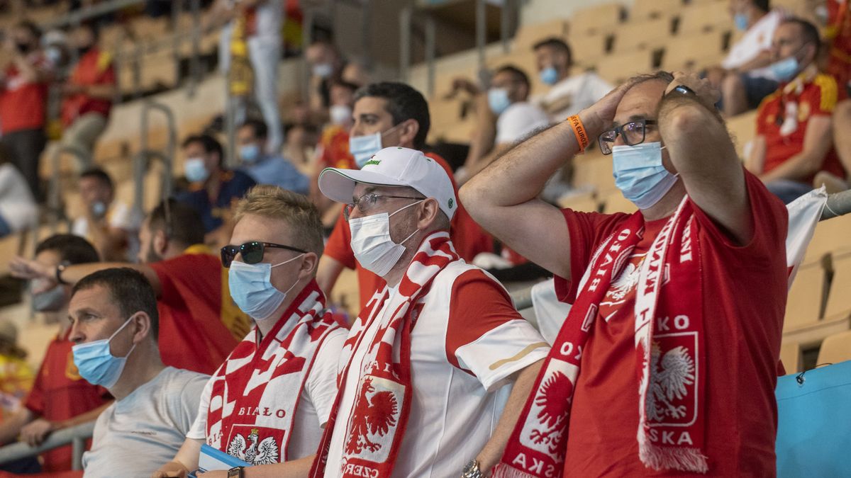 Decyzja Electronic Arts nie spodoba się Polakom