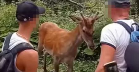 Skandal w drodze na Morskie Oko. Zachowanie turystów nagrała kamera