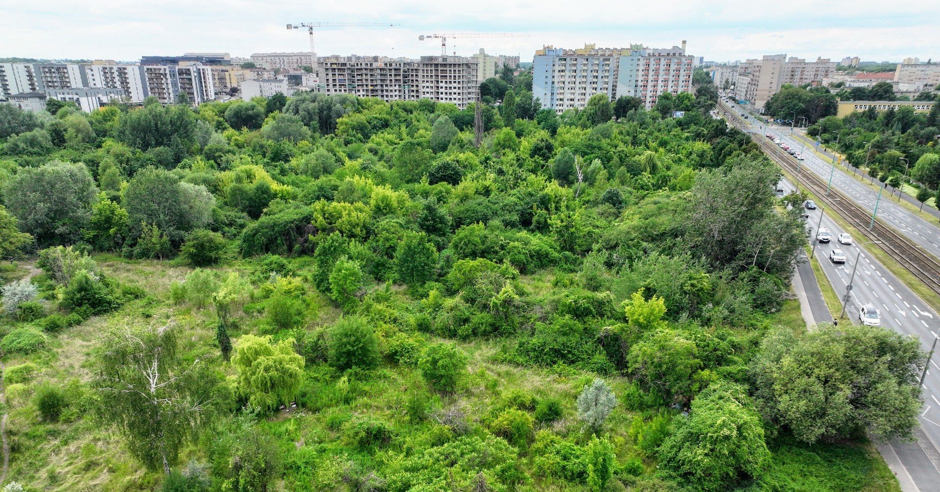 Na łazarzu powstanie nowy park? Tego chcą społecznicy i mieszkańcy.