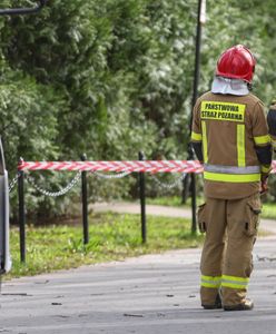Rozbili się o drzewo. Nowe fakty ws. tragicznego wypadku milionera