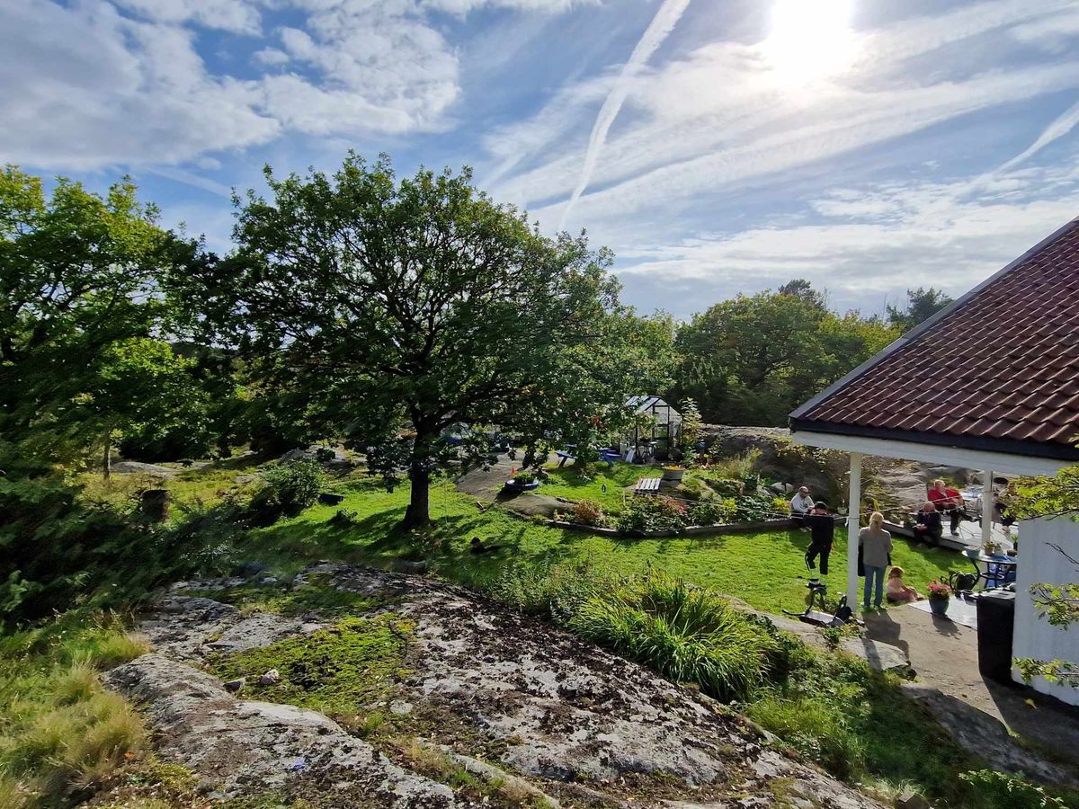 Niezwykłe odkrycie w  ogródku norweskiego domu