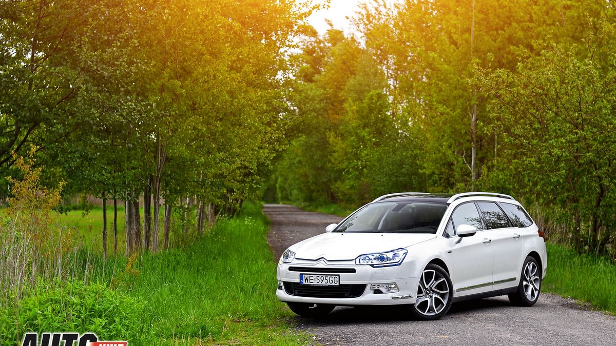 Zdjęcie ilustracyjne do artykułu