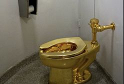 Naprawdę się połasili. Zdumiewająca kradzież z pałacu Churchilla