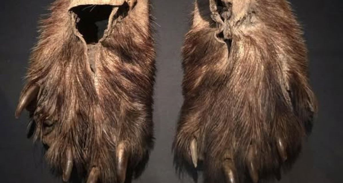 Obuwie Czirokezów. Legendarna broń rdzennych Amerykanów