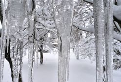 Mazowieckie jak Syberia. Wiemy, gdzie w regionie nocą był największy mróz