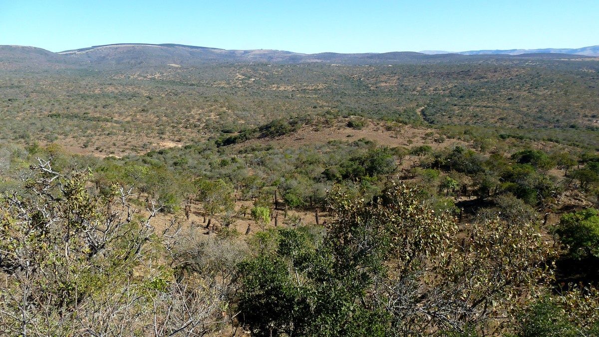 Dolina eMakhosini w KwaZulu-Natal. Współczesne zdjęcie poglądowe regionu Zulusów.