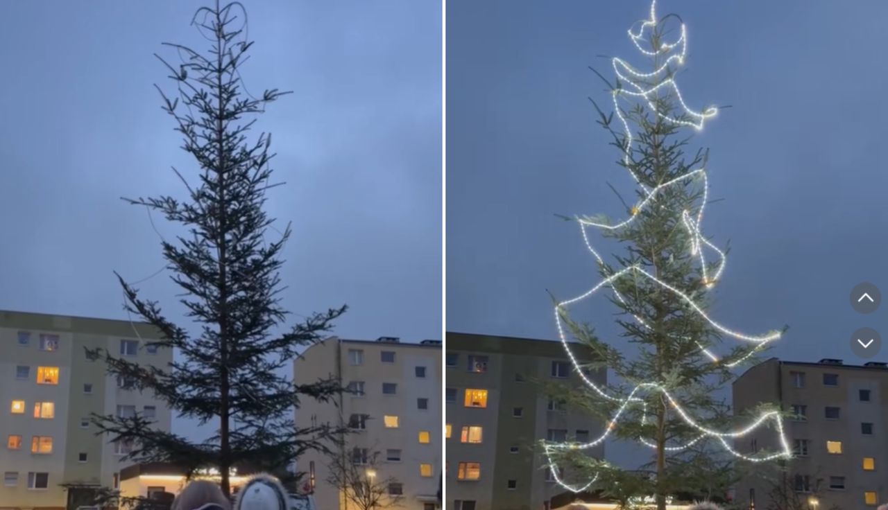 "To jakiś żart?". Pokazali choinkę. Milion wyświetleń