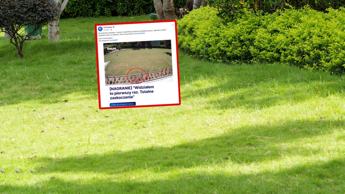 Zaskakujące odkrycie w ogrodzie.