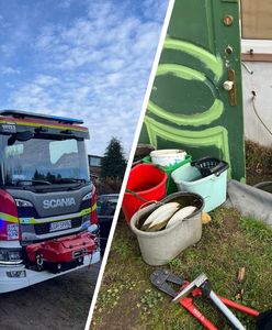 Makabryczne odkrycie w Złocieńcu. Zwłoki w altanie