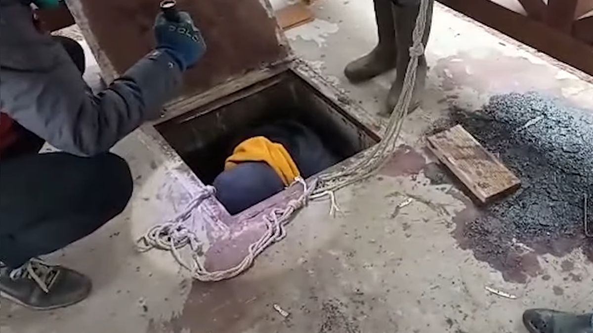 Policja znalazła 6 ciał cywili w rejonie browarskim 